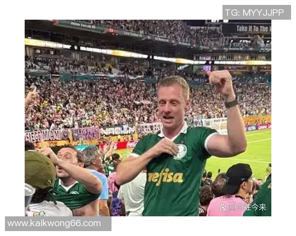 南美足球明星全解析及其辉煌成就与个人资料详解